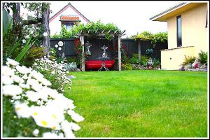 Great value Napier Bed and Breakfast accommodation